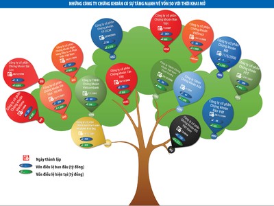 Công ty chứng khoán sẽ chuyển biến mạnh từ năm 2017