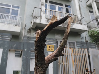 Cơ chế xử lý tài sản đảm bảo bằng bất động sản đang có nhiều bất cập
