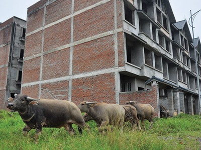 Vẫn còn nhiều “cô bé quàng khăn đỏ” trên thị trường địa ốc