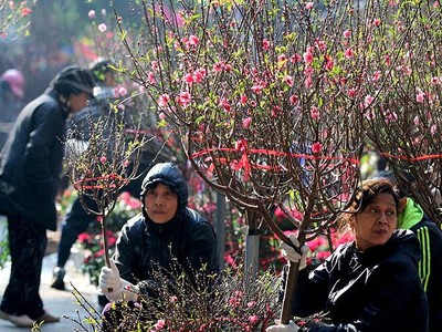 Chợ hoa Hàng Lược, Hà Nội ngày nắng đẹp. Ảnh: Lê Anh Dũng