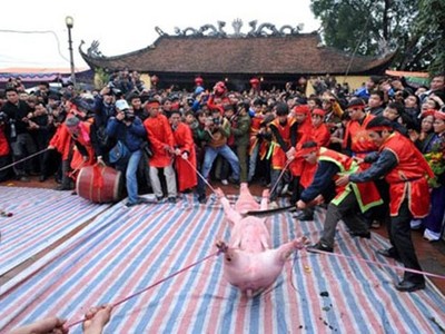 Chính quyền tỉnh Bắc Ninh đang vận động dân làng Ném Thượng bỏ tục chém lợn (ảnh Internet)