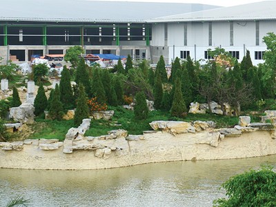 AAA: Kỳ vọng tăng trưởng mạnh từ 2017