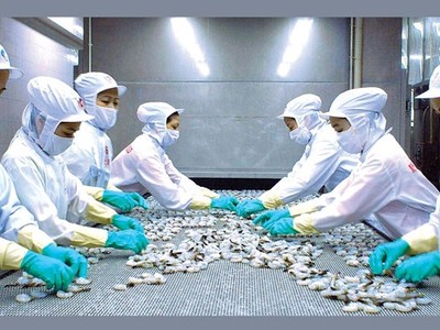 2017, Minh Phú đặt kế hoạch kim ngạch xuất khẩu 700 triệu USD