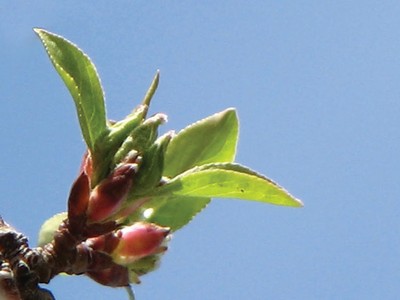 Động thổ công trình thế nào cho đúng?