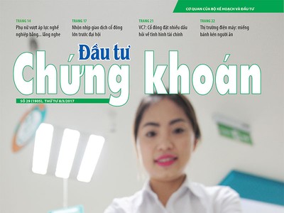 Đầu tư Chứng khoán số 29