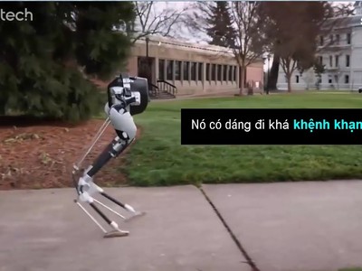 Cassie - robot 2 chân có thể tự cân bằng