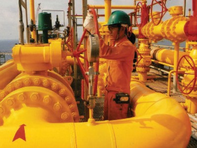 Năm 2017, PGD dự kiến lãi ròng 157 tỷ đồng