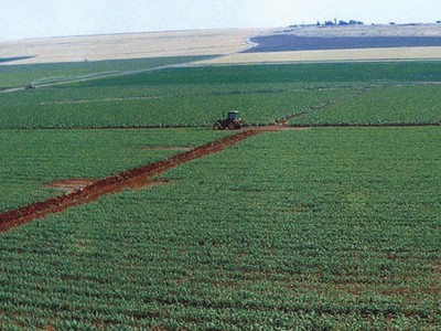 Câu chuyện thần kỳ của nông nghiệp Israel