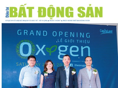 Đầu tư Bất động sản số 14