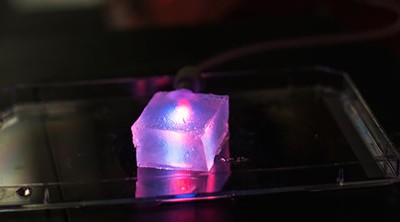 Tạo ra nội quan nhân tạo bằng máy làm kẹo bông 