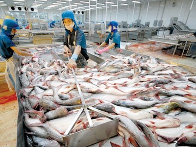 VASEP kiến nghị bãi bỏ yêu cầu thực phẩm phải sử dụng muối tăng cường i-ốt