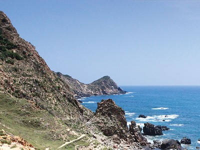 Đánh thức “nàng công chúa ngủ trong rừng”