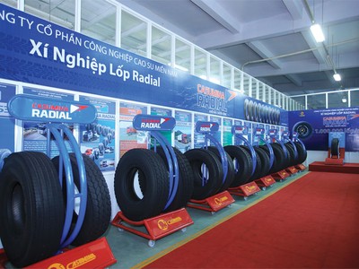 Mòn mỏi chờ cổ đông nhà nước thoái vốn