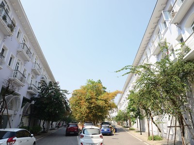 Thực tế tiến hành thu giữ tài sản bảo đảm là bất động sản để thu hồi nợ gặp rất nhiều khó khăn, vướng mắc