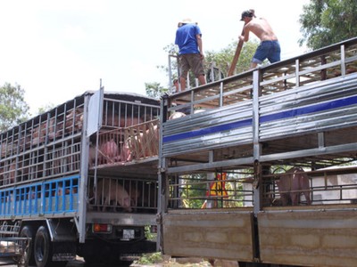 Ảnh minh hoạ. Nguồn: Internet