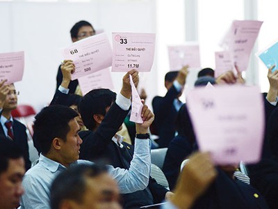 Cổ đông lớn SDH miễn nhiệm HĐQT có đúng luật?