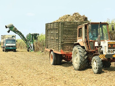 Trước giờ hoán đổi, BHS liên tục được gom