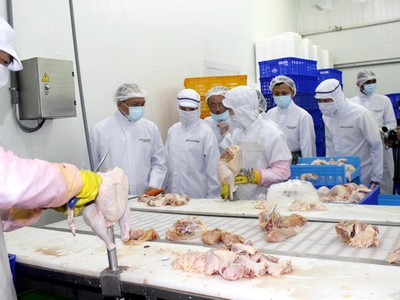 Nhật Bản đã đồng ý nhập khẩu thịt gia cầm và sản phẩm thịt gia cầm chế biến của Công ty TNHH Koyu & Unitek có trụ sở tại tỉnh Đồng Nai, Việt Nam kể từ ngày 22/6/2017.