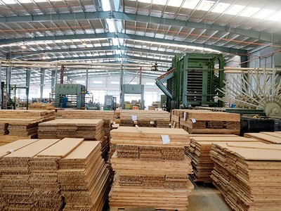 Nhà máy sản xuất tre ép công nghiệp BWG tại Mai Châu của SJF