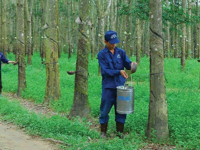 TRC ước lãi hơn 71 tỷ đồng trong 6 tháng