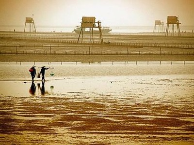 Khu kinh tế Thái Bình sẽ được xây dựng để trở thành khu kinh tế tổng hợp, đa ngành, trở thành địa bàn có tính đột phá của tỉnh Thái Bình. Ảnh minh hoạ. Nguồn: Internet