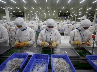 DOC thay đổi cách tính thuế với tôm Việt Nam. Ảnh: Reuters