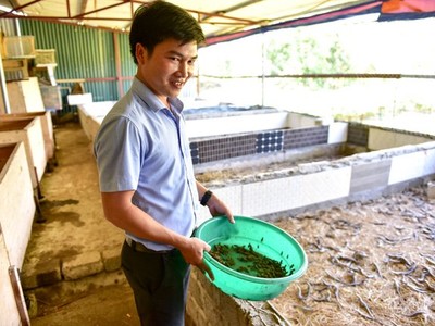 Anh Lâm Ngọc Kiên chủ trang trại nuôi côn trùng độc đáo ở Hà Nội