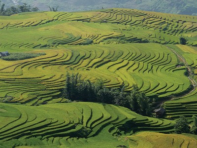 Vẻ đẹp của ruộng bậc thang Y Tý.