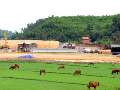 VEC thay “tướng” dự án cao tốc Đà Nẵng-Quảng Ngãi