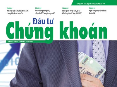 Đầu tư Chứng khoán số 111/2017