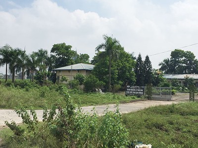 Nhiều dự án tại Mê Linh được khởi công hơn 10 năm nay, nhưng hiện chỉ là bãi đất trống, cỏ mọc um tùm. Ảnh: Nhất Nam