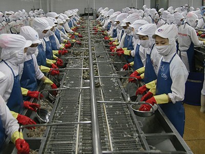 Minh Phú chuẩn bị đưa cổ phiếu lên sàn UPCoM