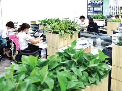 Văn phòng xanh ngoài mảng xanh, yếu tố quan trọng chính là sáng kiến vận hành văn phòng một cách tiết kiệm và hiệu quả. 