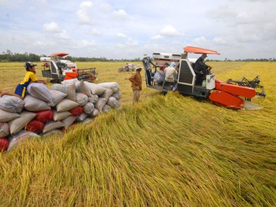 Thủ tướng chủ trì Hội nghị quy mô nhất từ trước đến nay về phát triển bền vững ĐBSCL