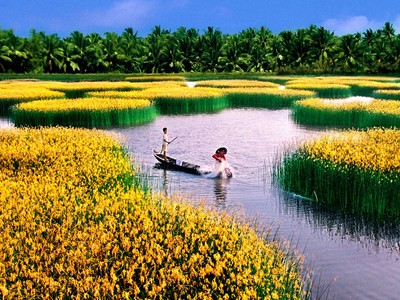 Đồng bằng sông Cửu Long cần quy hoạch tích hợp, không thể “mạnh ai nấy làm“