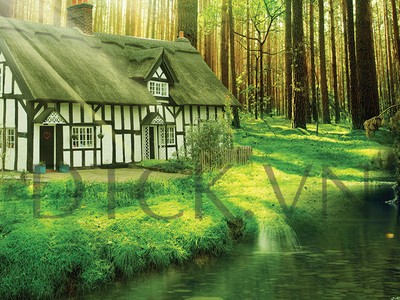 Cuối đời chuyển nhà