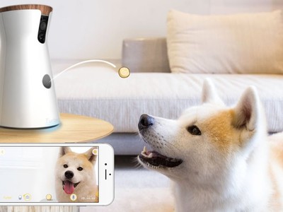 Furbo - camera thông minh cho cún yêu