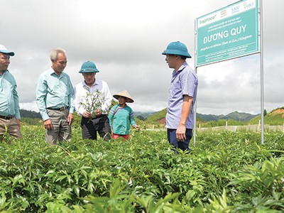 Cạnh tranh ngành dược sẽ đi vào chiều sâu