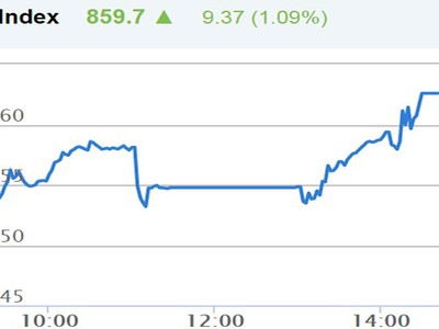 Phiên chiều 8/11: ROS, SAB giảm sâu, VN-Index vẫn lập đỉnh mới