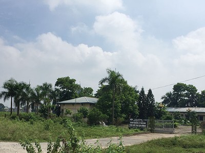 Sau cơn sốt đất, Mê Linh ngổn ngang dự án bỏ hoang. Ảnh: Kim Đức