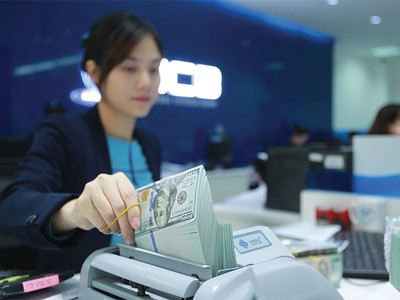 Gia hạn cho vay bằng ngoại tệ: Việc đặng chẳng đừng…