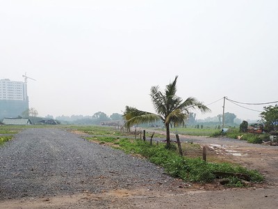 Nhiều chủ đất có quỹ đất lớn ủy quyền cho công ty phân phối phân lô, bán ra thị trường. Ảnh: Lê Thắng