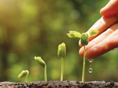 Thị trường xanh: Dư địa vô cùng lớn