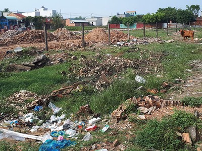 Đất nông nghiệp vùng ven TP.HCM dậy sóng sau quyết định tách thửa mới