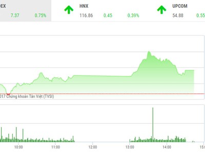 Phiên chiều 29/12: Sắc Xuân xanh