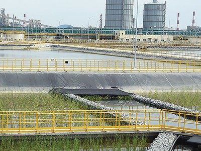 Tài chính xanh và rủi ro môi trường của Việt Nam