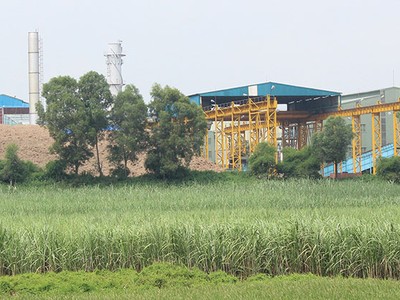 LSS đang tìm kiếm đối tác chiến lược