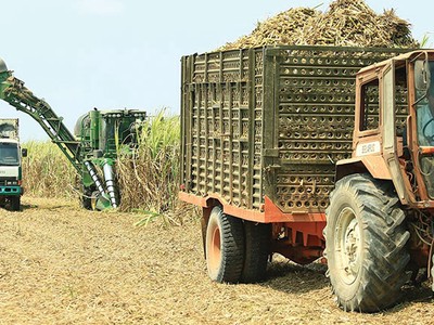 Thoái vốn Vinasugar II: Giá khởi điểm tương đương giá IPO năm 2013