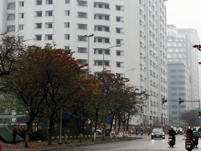 N01-D17 đang trong giai đoạn hoàn thiện và có dấu hiệu bị thổi giá