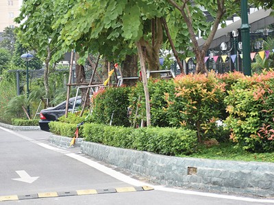 Không gian xanh tại EcoLife Capitol